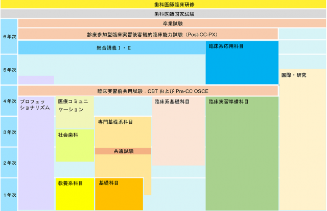 歯学科カリキュラム